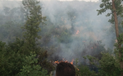 Incendio sterpaglie: “Troppe segnalazioni alla sala operativa, i Comuni si attivino”