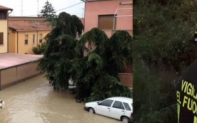 Cambiamenti climatici ed incendi boschivi